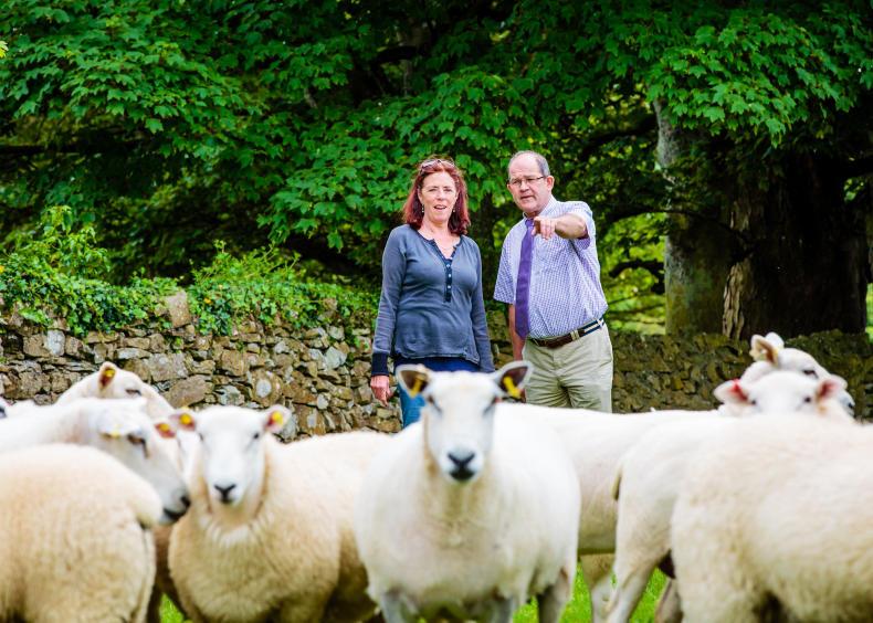 MSD recruiting at Agri Careers Fair MSD recruiting at Agri Careers Fair