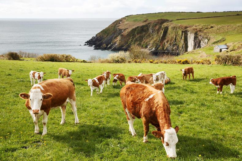 Farmer Writes: the four free things of farming Farmer Writes: the four free things of farming