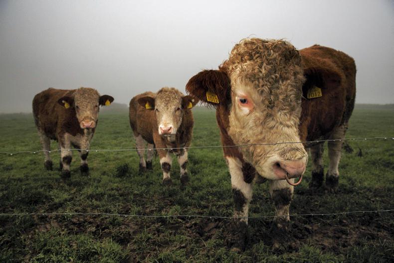 Farmer Writes: the four free things of farming Farmer Writes: the four free things of farming