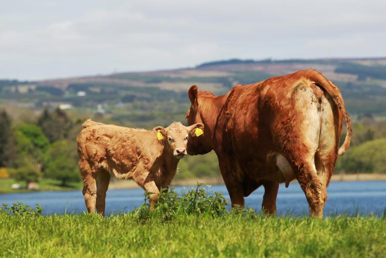 National Reserve opens for applications National Reserve opens for applications