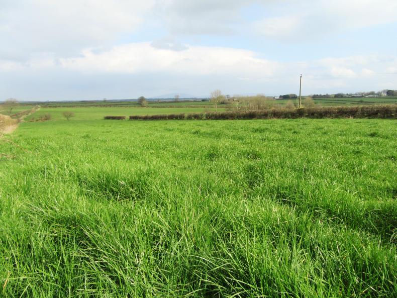 112-acre dairy operation for sale in north Antrim 112-acre dairy operation for sale in north Antrim