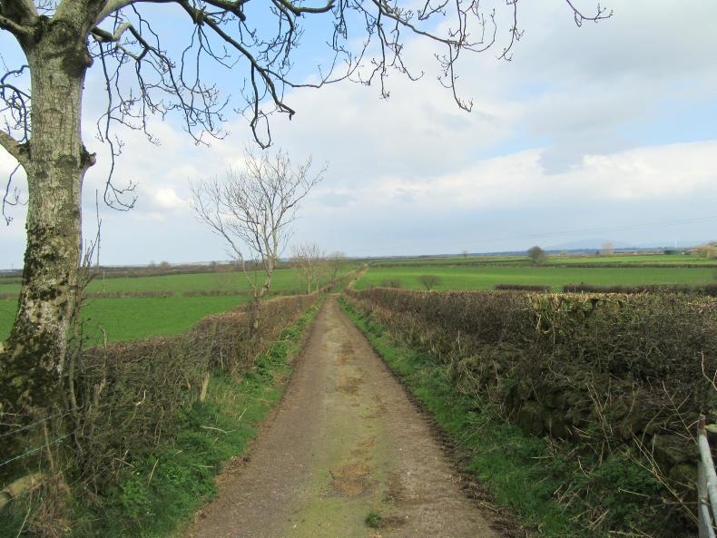 112-acre dairy operation for sale in north Antrim 112-acre dairy operation for sale in north Antrim