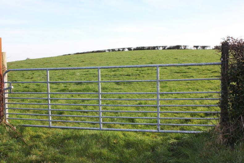 Nine acres that round off my farm Nine acres that round off my farm