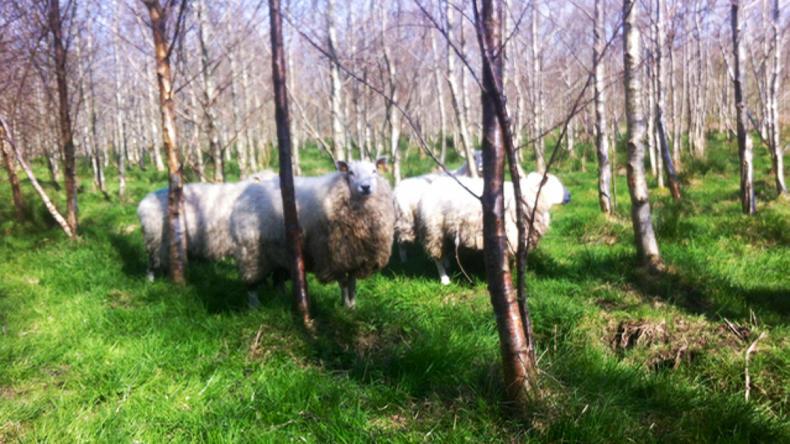 Farmer writes: conquering brave new worlds Farmer writes: conquering brave new worlds