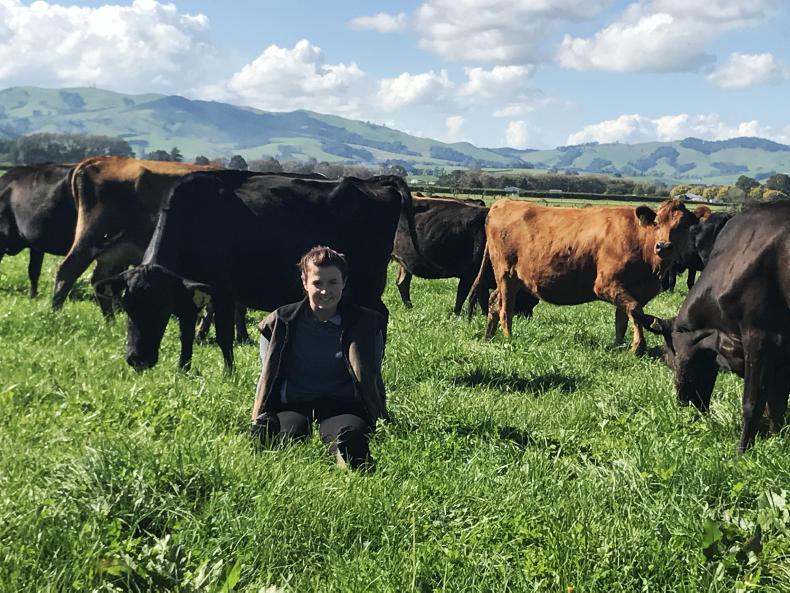 Farmer Writes: coping with New Zealand downpours Farmer Writes: coping with New Zealand downpours