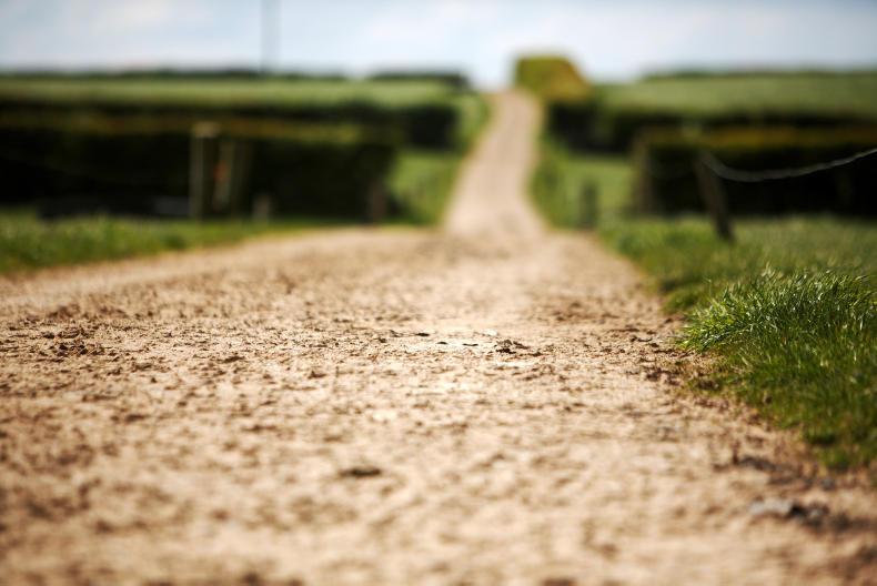 Farmer Writes: Paddy Average takes a look at the Greenfield numbers Farmer Writes: Paddy Average takes a look at the Greenfield numbers