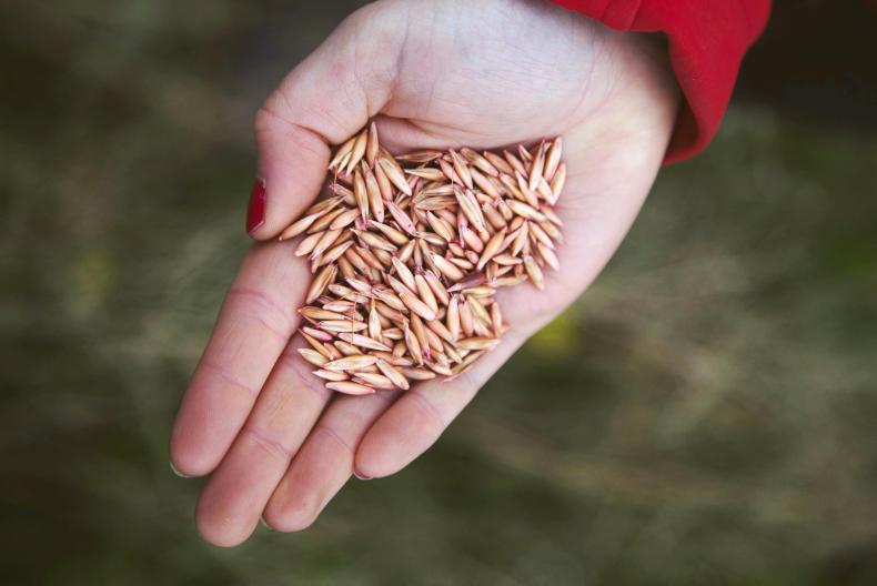 Environment: know the rules before using farm-saved seed Environment: know the rules before using farm-saved seed