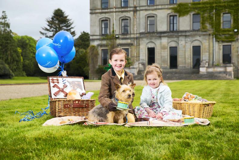 Meet Jo Breheny: the woman behind Waterford Country Fair Meet Jo Breheny: the woman behind Waterford Country Fair