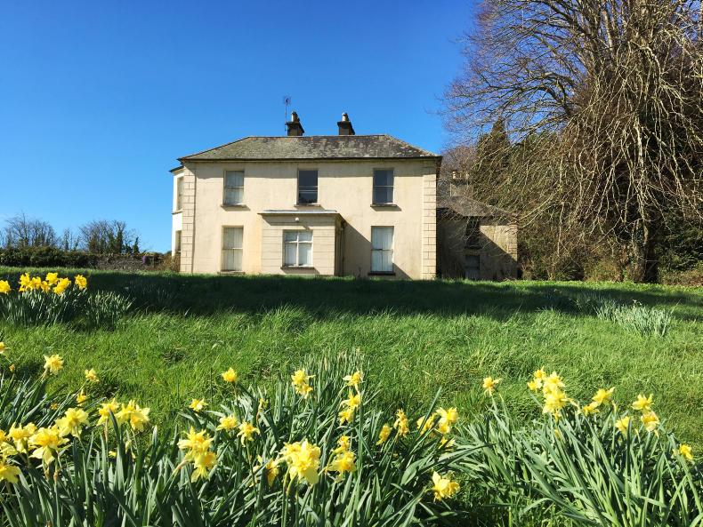 217acre drystock farm in Tipperary 24 May 2017 Premium