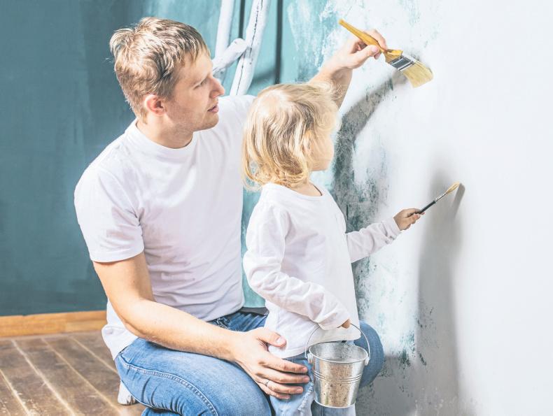 Home Renovation Incentive Scheme Home Renovation Incentive Scheme