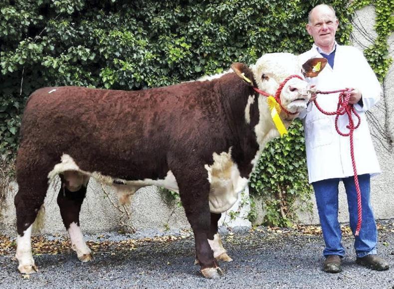 100% clearance at Nenagh 100% clearance at Nenagh