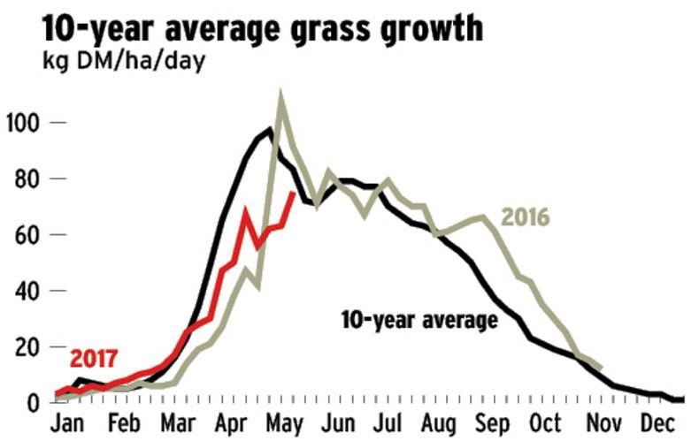 Check sugars and nitrates in silage field Check sugars and nitrates in silage field
