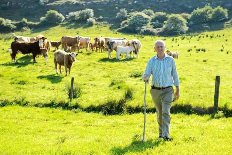 Beef on the Burren Beef on the Burren