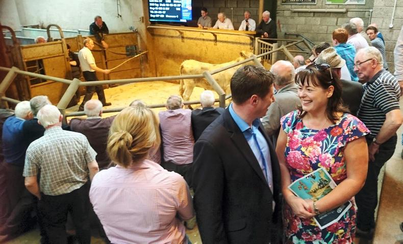 NI farm leaders 'asleep at the wheel' on Brexit NI farm leaders 'asleep at the wheel' on Brexit