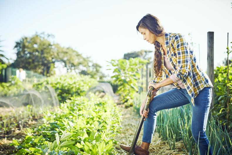 Finding a moment of mindfulness in the veg patch Finding a moment of mindfulness in the veg patch
