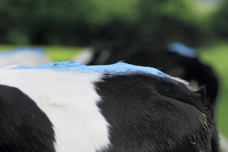 Farm safety: 'I could not hear as my ears were full of slurry' Farm safety: 'I could not hear as my ears were full of slurry'