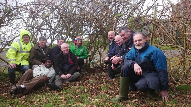 Shed of the week Shed of the week