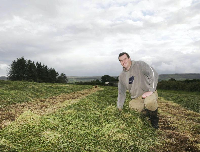 Farmer writes: silage season slowly gets going Farmer writes: silage season slowly gets going
