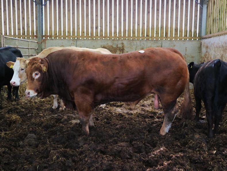 Better not bigger at Nether Balgray Better not bigger at Nether Balgray