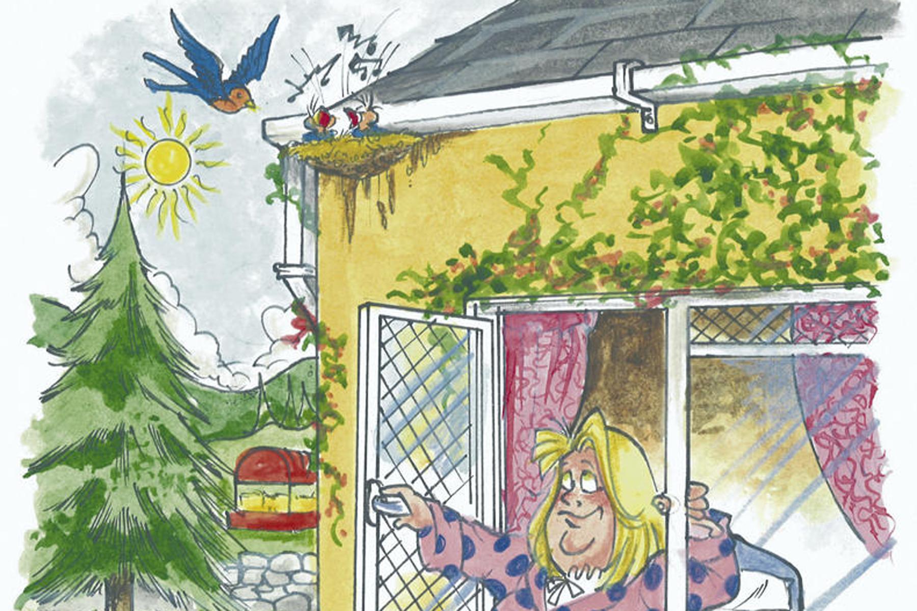 Noisy bulls and busy birds Noisy bulls and busy birds