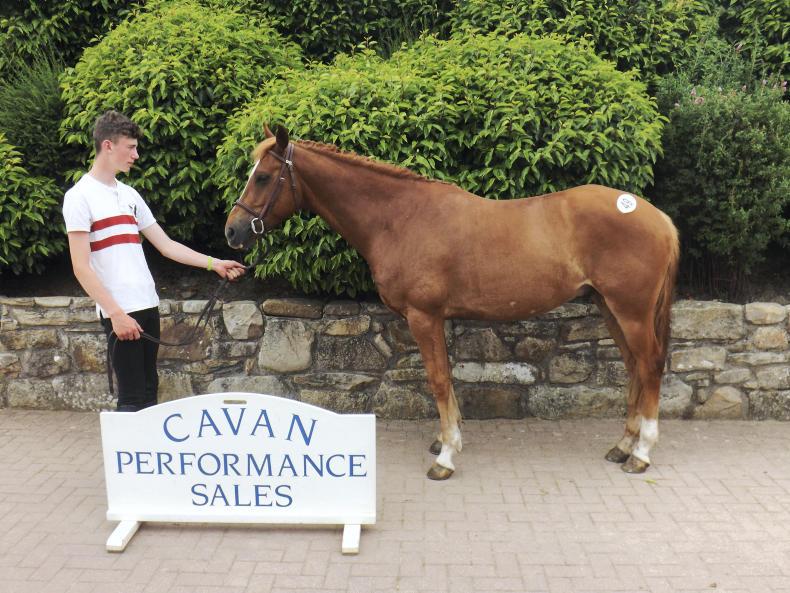 Jim Derwin pays €10,200 for top lot at Cavan Jim Derwin pays €10,200 for top lot at Cavan