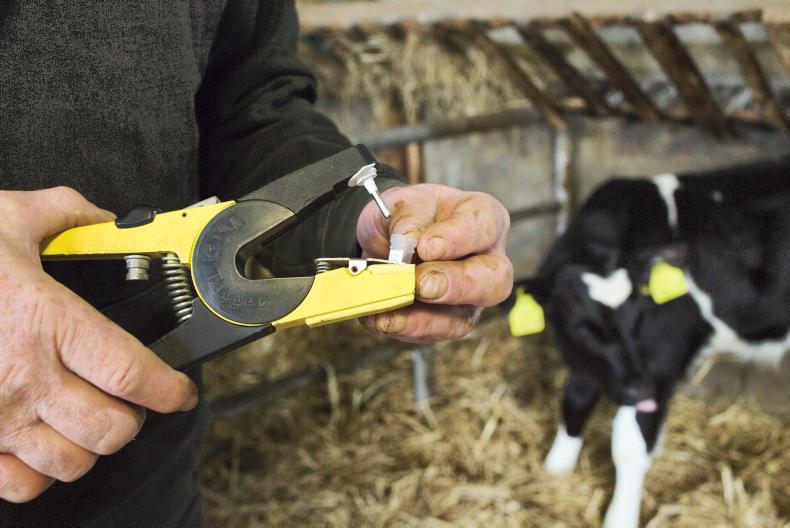 False 'negative' BVD results False 'negative' BVD results