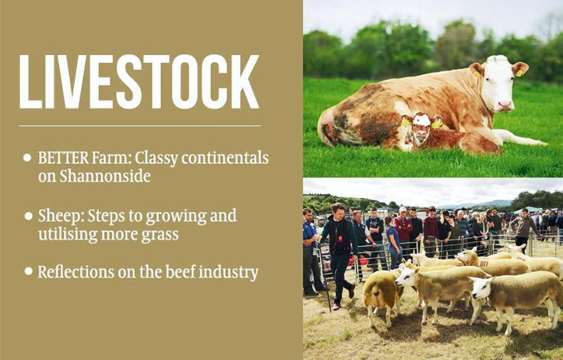 Inside this week's Irish Farmers Journal Inside this week's Irish Farmers Journal