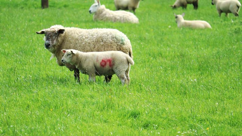 A lot done – more to do at Arnage A lot done – more to do at Arnage