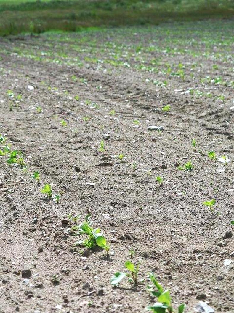 A lot done – more to do at Arnage A lot done – more to do at Arnage