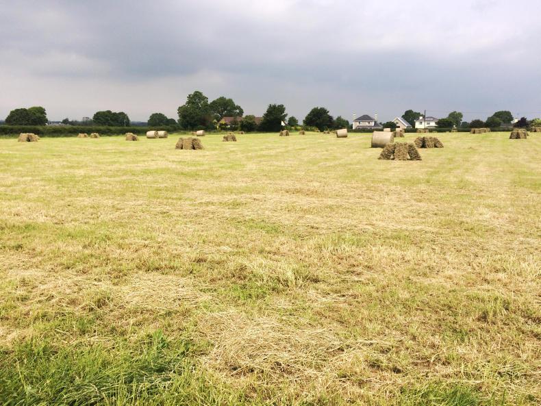 Watch €965,000 for Limerick land Premium