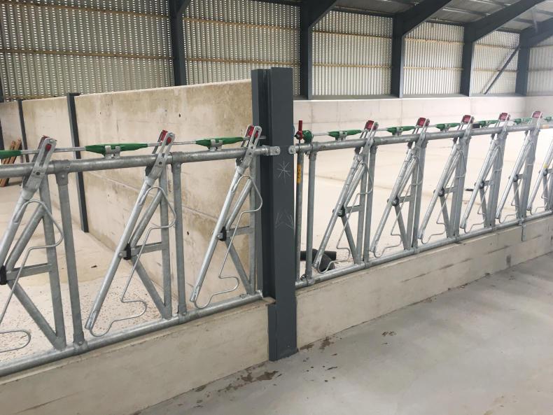 Colossal suckler house in north east England Colossal suckler house in north east England