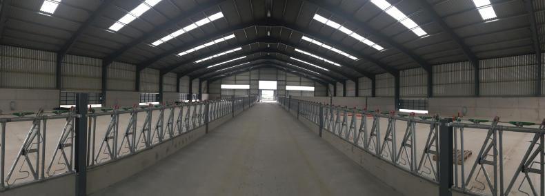 Colossal suckler house in north east England Colossal suckler house in north east England