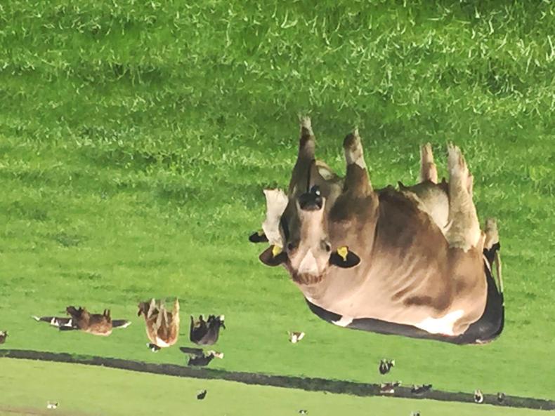 Reversing the robot trend in Dumfries Reversing the robot trend in Dumfries