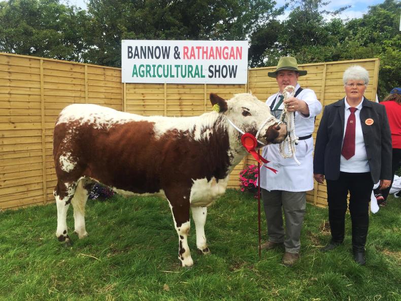 In pictures: sun shines on Bannow and Rathangan Show
In pictures: sun shines on Bannow and Rathangan Show