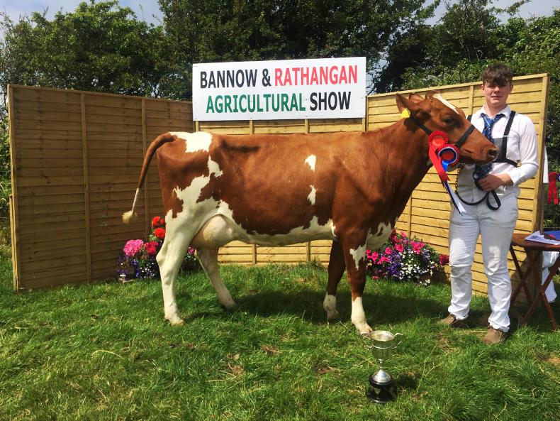 In pictures: sun shines on Bannow and Rathangan Show
In pictures: sun shines on Bannow and Rathangan Show