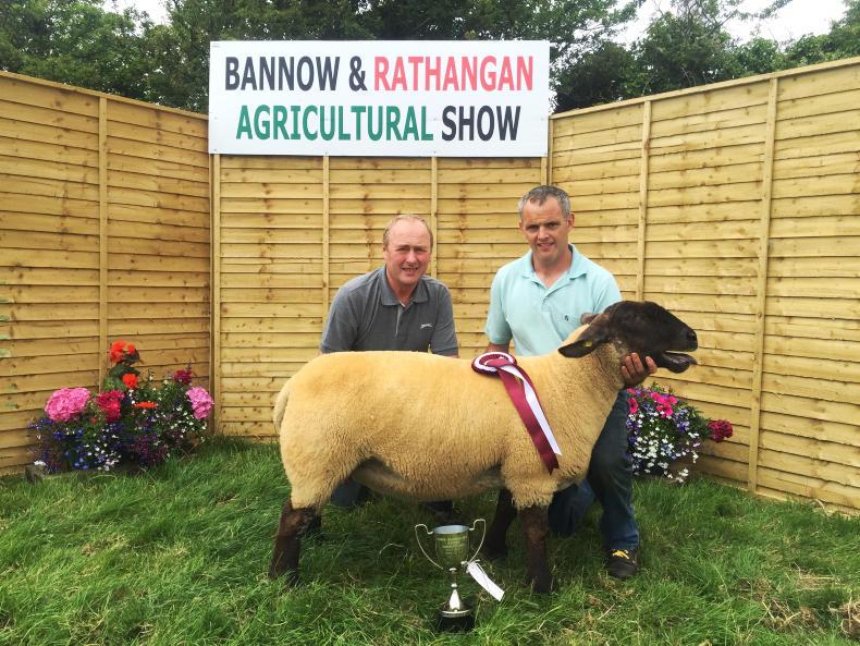 In pictures: sun shines on Bannow and Rathangan Show
In pictures: sun shines on Bannow and Rathangan Show