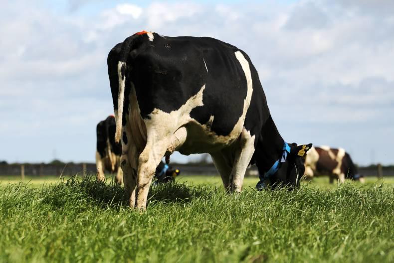 NI milk prices up 53% in 12 months NI milk prices up 53% in 12 months