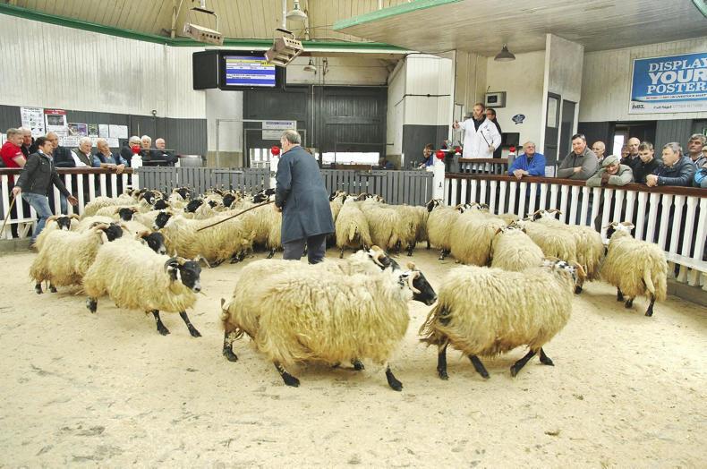 On your marts, get stores, go! On your marts, get stores, go!