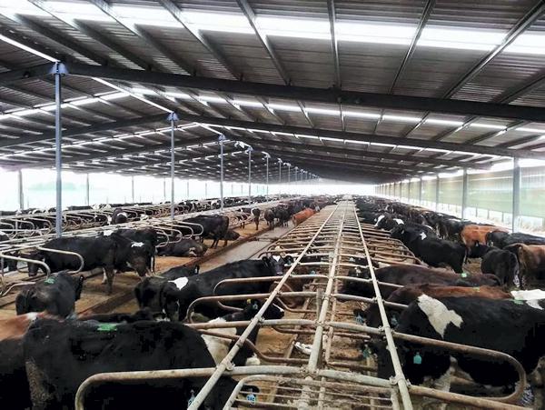 NIEA rules threaten industry growth NIEA rules threaten industry growth