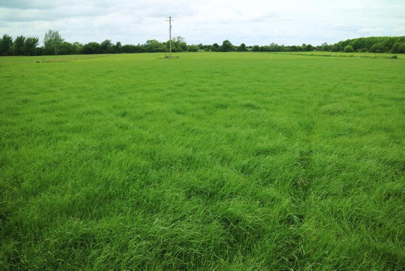 AFBI to notify farmers on soil analysis AFBI to notify farmers on soil analysis