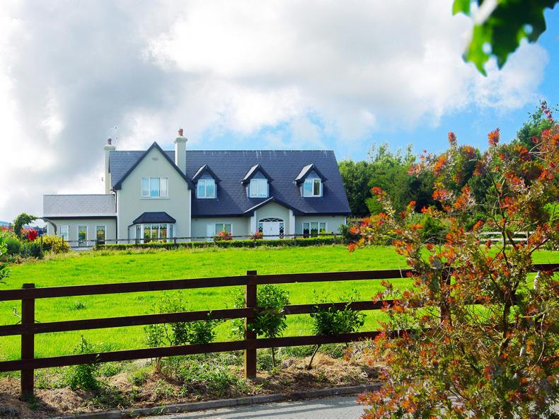 Plenty of options in Cork Plenty of options in Cork