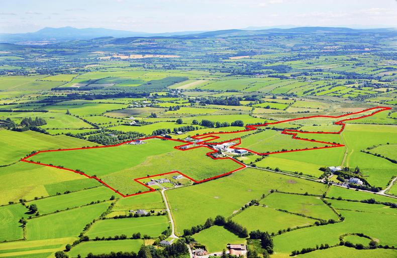 Plenty of options in Cork Plenty of options in Cork