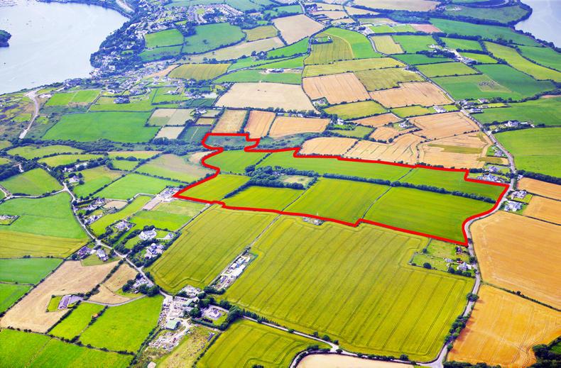 Plenty of options in Cork Plenty of options in Cork