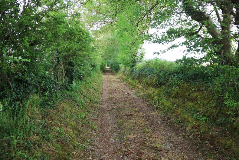 Plenty of options in Cork Plenty of options in Cork