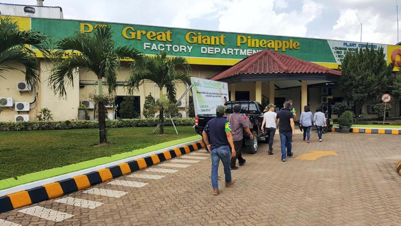 Nuffield blog: growing 82,000 acres of pineapples in Indonesia Nuffield blog: growing 82,000 acres of pineapples in Indonesia