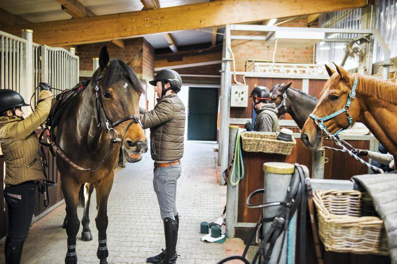 Bertram Allen: Living the dream Bertram Allen: Living the dream