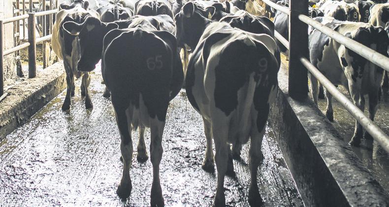 Three ways to control energy costs in the milking parlour Three ways to control energy costs in the milking parlour