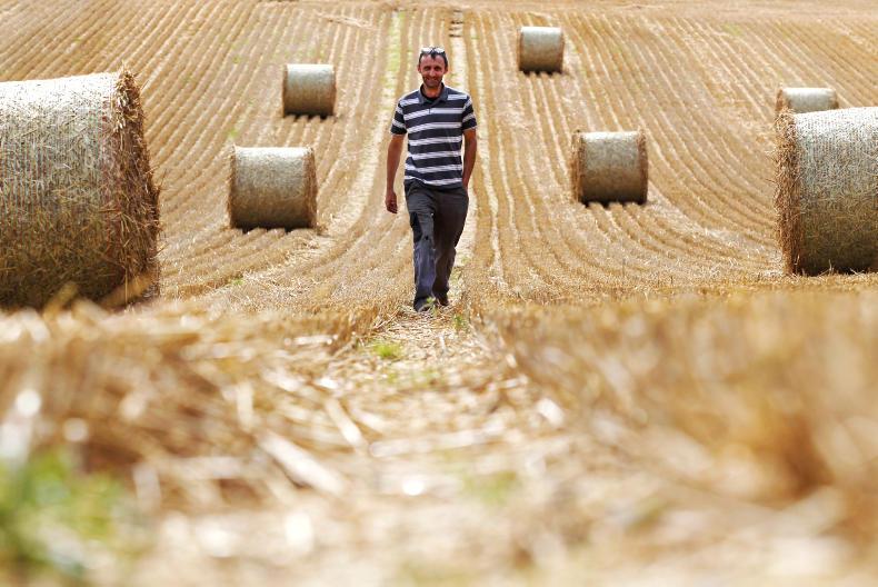 Strong start for phase two of harvest 2017 Strong start for phase two of harvest 2017