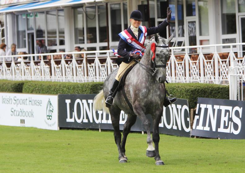 Mossy makes dreams come true Mossy makes dreams come true