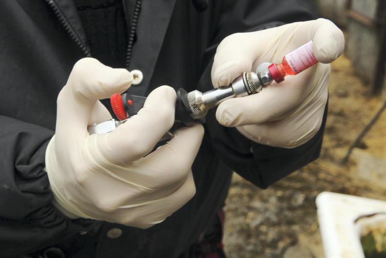 TB found in a herd of cattle in Skye TB found in a herd of cattle in Skye